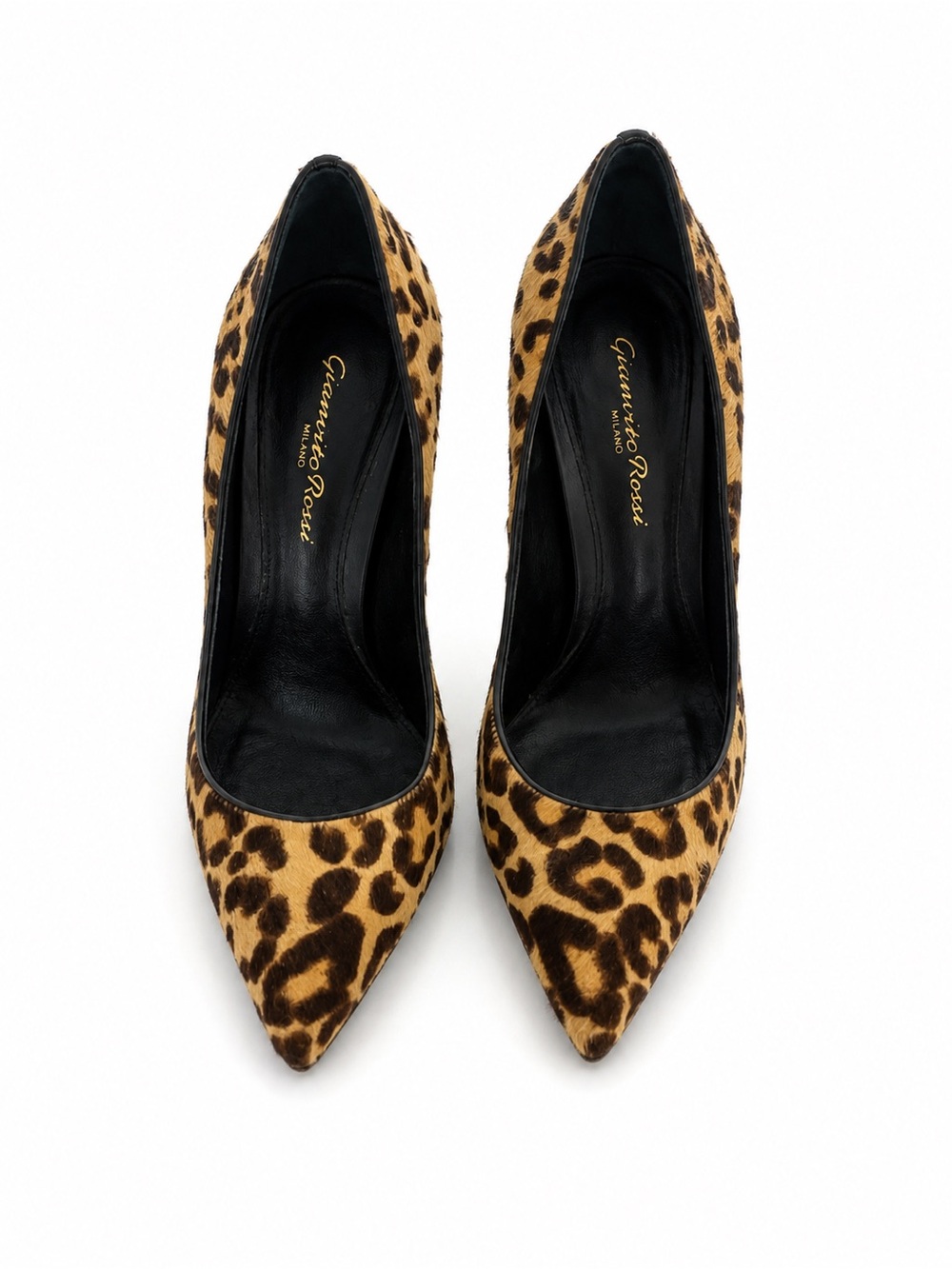 Gianvito Rossi Leopard Print Pointed Toe Pumps - Black & Brown